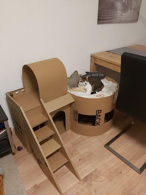 Cat House From Cardboard Boxes, Cardboard Box Houses For Cats, Cat Building Ideas, Cardboard Cat House Ideas, Diy Cat Stuff Cardboard, Diy Cat Cardboard Ideas, Cardboard Box Cat House Diy Ideas, Box Cat House Diy, Diy Cat House Ideas