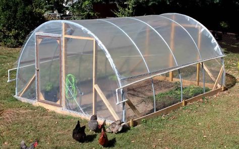 Hoop House Greenhouse, Passive Solar Greenhouse, Diy Greenhouse Cheap, House Greenhouse, Greenhouse Diy, Solar Greenhouse, Hoop House, Greenhouse Design, Green House Design