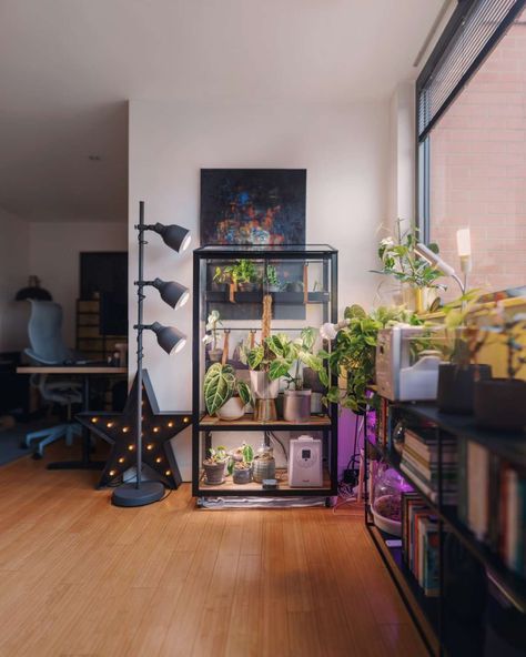 Bedroom Plant Storage, Growing Plants Indoors With Grow Lights, Plant Shelves With Lights, Plant Grow Light Setup, Living Room Grow Lights, Ikea Grow Light, Plant Shelf Lighting, Indoor Plant Grow Lights, Plants Lighting Indoor