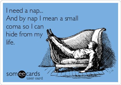 I+need+a+nap...+And+by+nap+I+mean+a+small+coma+so+I+can+hide+from+my+life. I Need A Nap, Mrs Hudson, Clipuri Video, E Card, Ecards Funny, Someecards, I Smile, Bones Funny, I Laughed