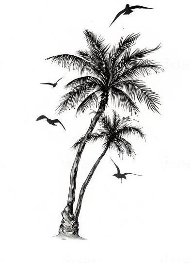 Palm Tree And Plane Tattoo, Palm Tree Reference, Palm Trees Tattoo Men, 3 Palm Tree Tattoo, Men Palm Tree Tattoo, Palm Tree Beach Tattoos, Palm Tree Drawing Sketches, Coconut Tree Tattoo Design, Palm Tree Leg Tattoo