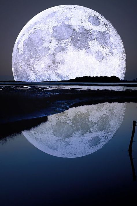 Bright blue moon photography sky night water moon reflection big huge Full Moon In Aries, Shoot The Moon, Moon Moon, Moon Pictures, Moon Photography, Super Moon, The Full Moon, Beautiful Moon, Moon Glow