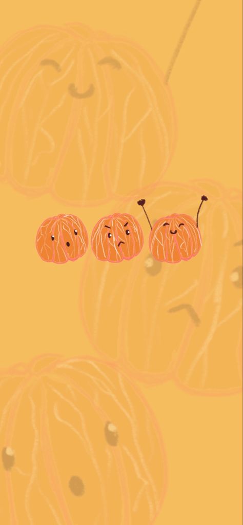 Tangerine wallpaper, orange wallpaper, iPhone background, tangerin aesthetic, cute wallpaper Tangerine Wallpaper Aesthetic, Tangerine Aesthetic Wallpaper, Tangerines Aesthetics, Flip4 Wallpaper, Cute Orange Wallpaper, Tangerine Aesthetic, Orange Fruit Wallpaper, Orange Wallpaper Iphone, Tangerine Wallpaper