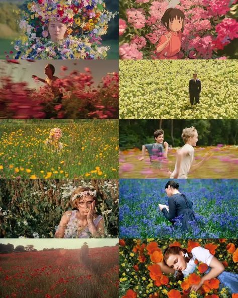 Flower in films. Midsommar (2019) Spirited Away (2001) The Basketball Diaries (1995) Big Fish (2003) Marie Antoinette (2006) Close (2022) Daisies (1966) Bright Star (2009) Atonement (2007) The Wizard of Oz (1939) Flowers In Movies, Midsommar Cinematography, Daisies Movie, Close 2022, Atonement 2007, Daisies 1966, The Basketball Diaries, Marie Antoinette 2006, Wizard Of Oz 1939