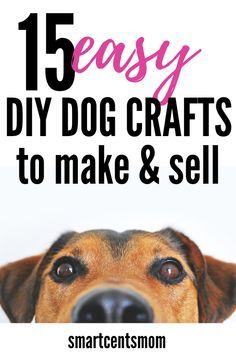 15 EASY & CHEAP DIY dog crafts to make and sell on Etsy! Looking for a cheap and easy way to sell crafts at home? These DIY dog accessories, dog beds, and home decor are perfect for the any dog lover. Homemade Dog Toys, Dogs Diy Projects, Pet Nutrition, Dog Breeding, Healthy Dog Treats Homemade, Diy Dog Toys, Diy Tumblr, Dog Business, Food Label