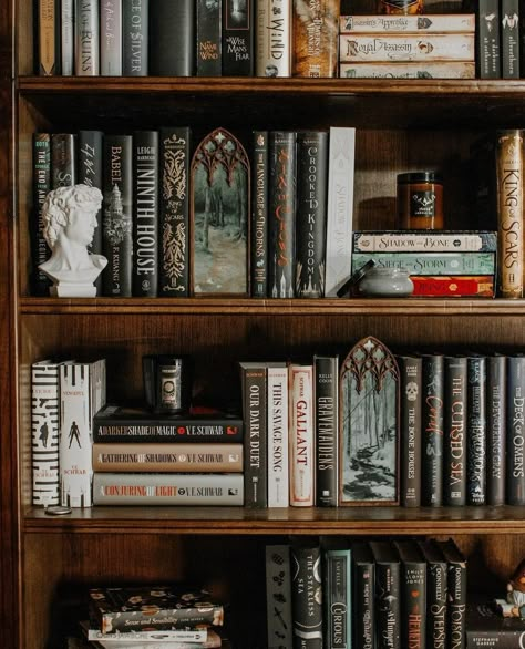 Dark Academia Home Library Aesthetic, Dark Bookshelf Styling, Appalachian Forest, Dark Bookshelf, Bookshelves Inspiration, Book Room Aesthetic, Bookcase Aesthetic, Book Shelves Ideas, Dark Academia Bookshelf