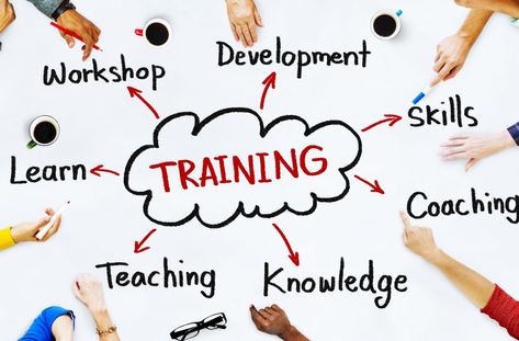 Ten Tips for Training New Employees:https://www.bbalectures.com/ten-tips-for-training-new-employees/ Train The Trainer, Employee Development, Capacity Building, Employee Training, New Employee, Corporate Training, Skill Training, Building Ideas, Training Courses