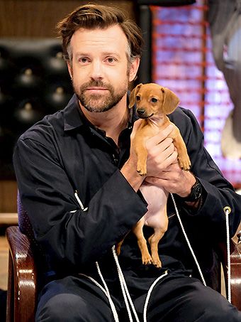 Celebrity Dogs, Jason Sudeikis, Ted Lasso, Snl, Celeb Crushes, Old Men, My Type, Comedians, Pretty People