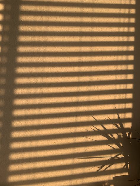 Sunset Window Shadow Aesthetic, Window Shadow Image, Golden Hour Window Shadow, Aesthetic Background For Photoshoot, Sun Shadow Window, Window Shadow Photography, Background Photo Studio Aesthetic, Real Background Images For Editing, Sunset Shadow Aesthetic