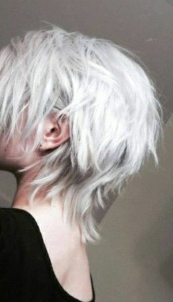 Hair Color Ideas Shoulder Length, Cute Hairstyles Short Hair, Silver Hair Boy, Cute Hairstyles Short, Braids Haircut, Guys With White Hair, Silver Hair Men, White Hair Men, Boy With White Hair