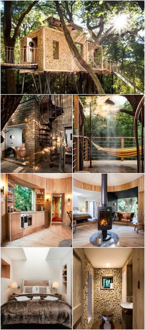 Adult Treehouse, Remodeling Ideas On A Budget, Next Chapter In Life, Treehouse Living, Tree House Interior, Trees House, Luxury Tree Houses, Tiny Loft, Huge Houses