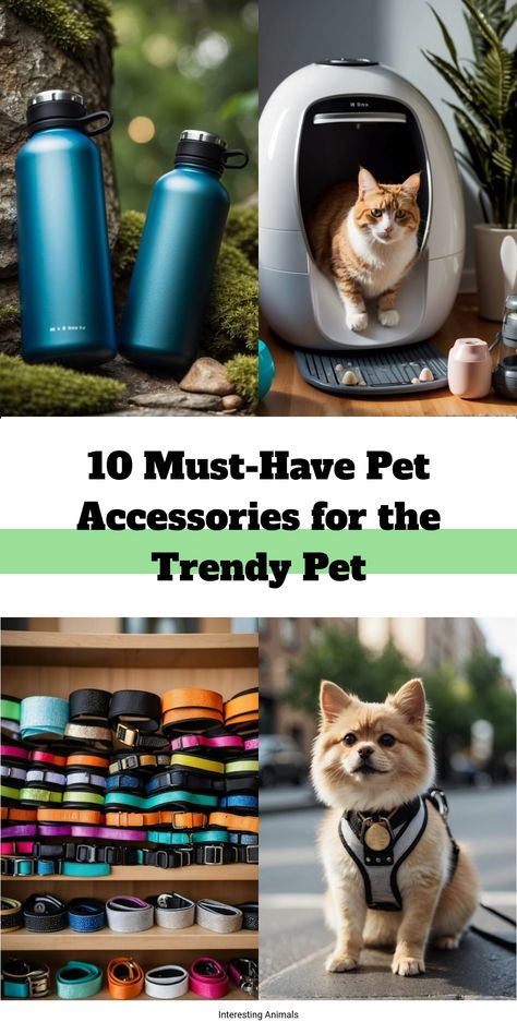 Discover the trendiest pet accessories! From stylish collars to cozy beds, explore our top 10 must-have items for your beloved pets. Shop now! Welcome To Summer, Cozy Beds, Walking Harness, Pet Doors, Pet Door, Interesting Animals, Pet Fashion, Animal Behavior, Dog Products