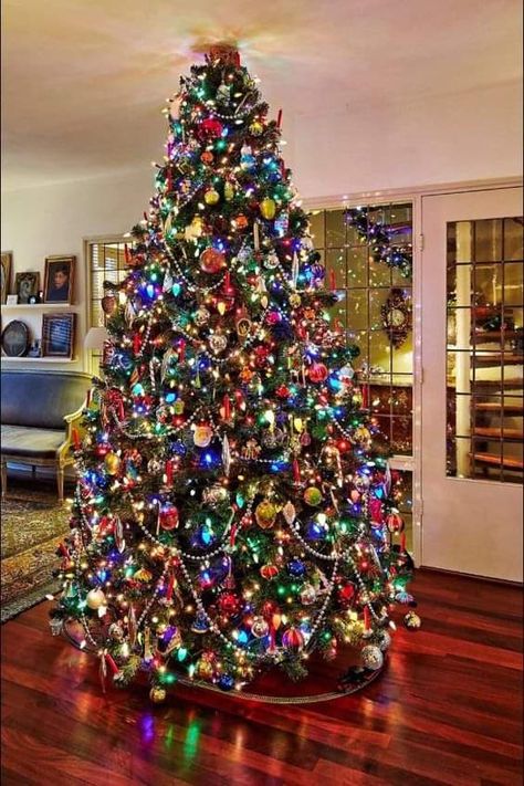 Multi Color Lights Christmas Tree Ideas, Multi Colored Light Christmas Tree Ideas, Colored Light Christmas Tree Ideas, Multi Colored Christmas Tree, Christmas Tree Colored Lights, Christmas Tree With Coloured Lights, Decoration Ideas Christmas, Decorated Trees, Colorful Christmas Decorations