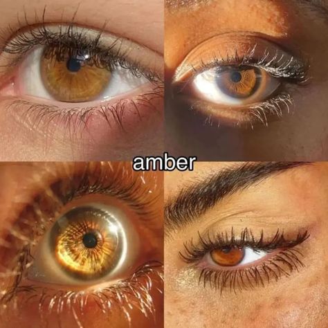 Brown Eye Color Chart, Brown Eyes With Gold Flecks, Pretty Eyes Brown, Types Of Brown Eyes, 2 Different Color Eyes, Dark Amber Eyes, Yellow Eye Color, Down Turned Eyes, Amber Brown Eyes