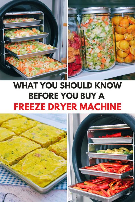 Various foods being preserved using a freeze dryer machine, showcasing the process and results of freeze drying for long-term food storage. Freeze Drying Ideas, Freeze Drier Machine, Freeze Dry Butter, Freeze Dryer Machine, Freeze Dryer Setup, Freeze Drying Business, Freeze Dryer Meals, Freeze Dryer Ideas, Harvest Right Freeze Dryer Recipes