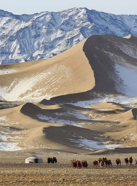 Mongolian Village, Mongolian Aesthetic, Mongolian Mountains, Mongolia Aesthetic, Mongolia Mountains, Mongolia Landscape, Mongolian Nature, Mongolia Nature, Mongolia Photography