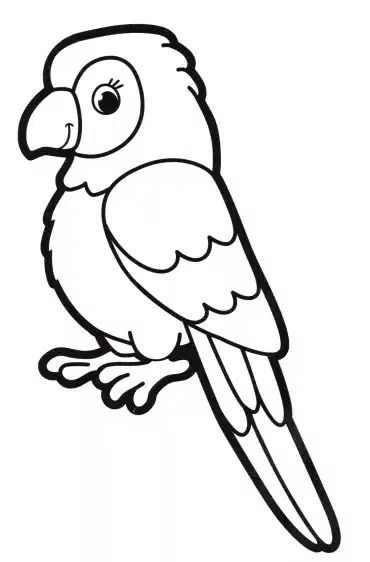 Papagei 30 coloring pages for kids in 2024 | Malvorlagen tiere, Vogel malvorlagen, Papagei zeichnung . #Parrot_Colouring_Pages #Parrot_Template #Jungle_Animal_Coloring_Pages #Parrot_Coloring_Page Parrot Colouring Pages, Jungle Animals Coloring Pages, Parrot Drawing For Kids, Parrot Printable, Parrot Coloring Page, Jungle Vbs, Jungle Coloring Pages, Dove Drawing, Coloring Pages Animals