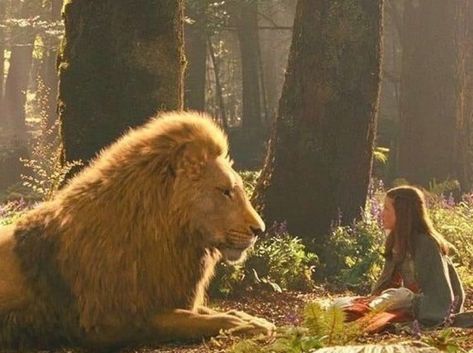 Narnia Lucy, Sheila Walsh, Narnia Quotes, Peter Pevensie, Lucy Pevensie, Narnia 3, Courage Dear Heart, Bear Quote, Prince Caspian