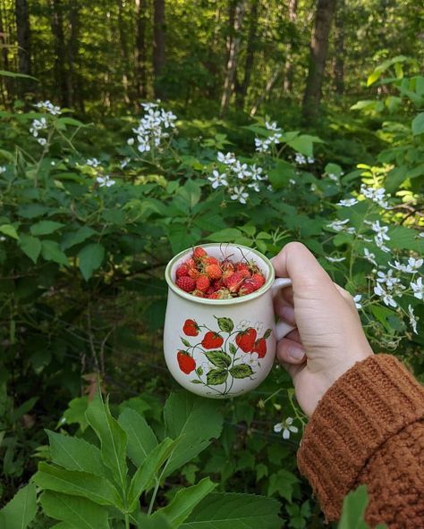 The medicinal uses of wild strawberry Corn And Broccoli, Flower Poetry, Music Flower, Animals And Humans, Forest Fruits, Strawberry Wine, Wild Strawberry, Wild Strawberries, Forest Floor