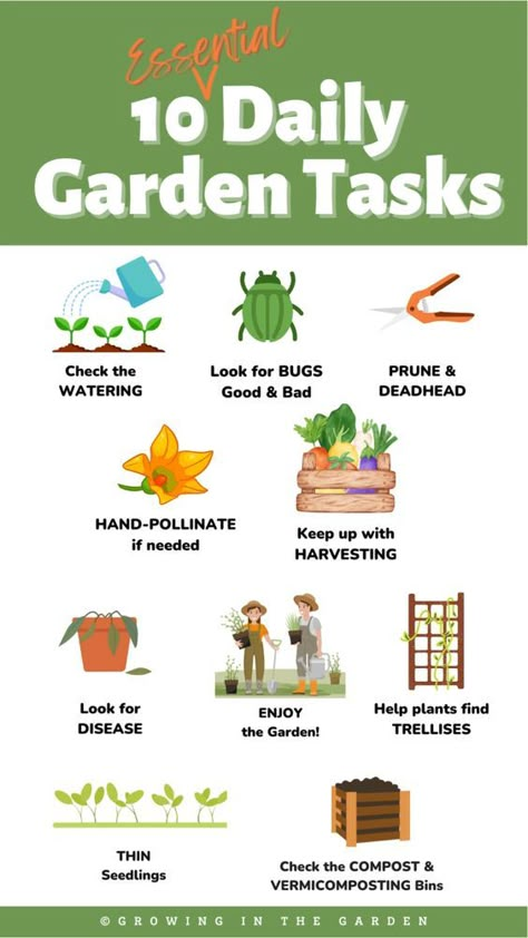 Are you looking for a foolproof way to ensure your garden thrives? Check out our Daily Garden Checklist, complete with a free printable! Our checklist covers the 10 essential tasks you need to do every day to maintain a beautiful and healthy garden. From watering to weeding, our checklist has got you covered. Download our free printable and get started today! #gardeningtips #gardenchecklist #dailyroutine #greenery #gardenlove #printable #freeprintable #gardenmaintenance #gardeninghacks Community Garden Ideas, Garden Checklist, Garden Organization, Small Vegetable Gardens, Future Garden, Healthy Garden, Garden Hacks, Starting A Garden, Gardening 101