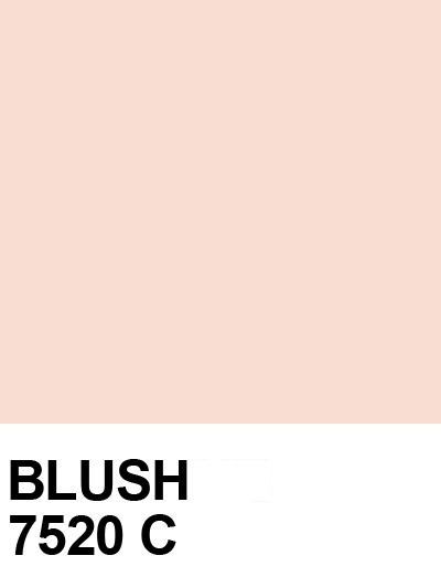 Pale Dogwood, Pantone Colour Palettes, Deco Rose, Pink Wall, Color Crush, Creative Advertising, Color Stories, Blush Color, Colour Schemes