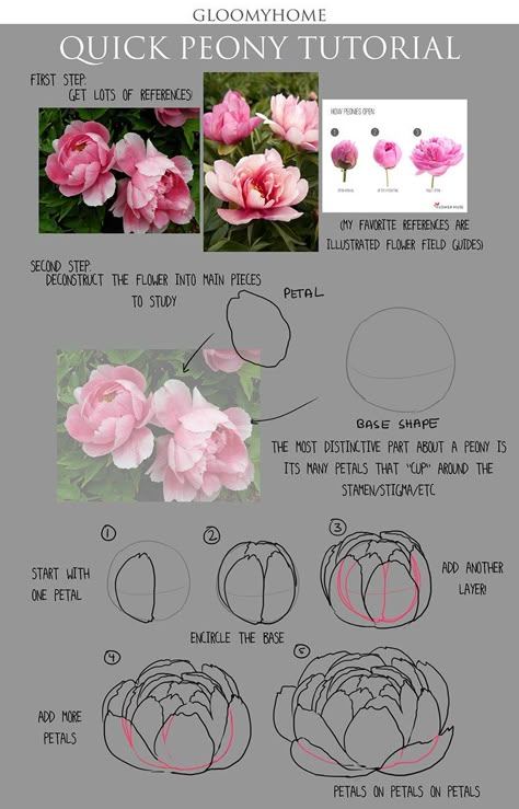 Ako Kresliť, Fav Flower, How To Draw Flowers, Peony Drawing, Săpunuri Handmade, Flowers Peonies, Draw Flowers, Flower Drawing Tutorials, Peony Painting