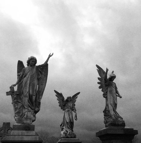 Grey Street Images Terrifiantes, Slytherin Aesthetic, Angel Aesthetic, 다크 판타지, Angel Statues, Gray Aesthetic, Gothic Aesthetic, Dark Academia Aesthetic, Black And White Aesthetic