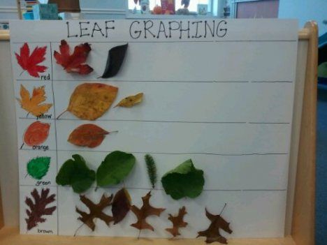 Graphing leaves- great for sorting and leaf identification @ Creative Tots Mason Preschool Leaf Inquiry Kindergarten, Leaf Investigation Preschool, Leaf Investigation, Graphing Games, Leaf Activities, Autumn Preschool Theme, Fall Math Activities, Fall Lesson Plans, Leaf Projects