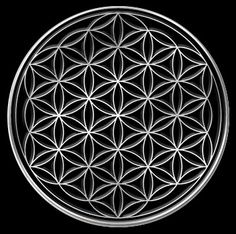 Sacred Geometry Meanings, Tattoo Music, The Flower Of Life, Platonic Solid, Nature Architecture, Music Tattoos, Crystal Grids, Geometric Flower, Golden Ratio