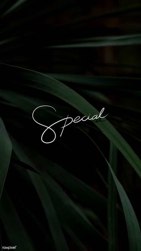 Special text on a leafy background mobile wallpaper | free image by rawpixel.com / Aew Mobile Background Wallpaper, Black And Green Wallpaper, Iphone Wallpaper Dark, Leafy Background, Green And Black Background, Pose Mode, Photo Frame Images, Pink Neon Lights, Background Mobile