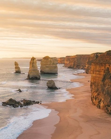 RENEE HAHNEL on Instagram: “I’ve always known that I have an Irish and English heritage, but I was recently surprised to find out that I have some Spanish blood in me…” Electrician Logo, Van Life Travel, The Twelve Apostles, Trip To Australia, Camping Van, Whale Sharks, Australia Travel Guide, Twelve Apostles, Couple Travel