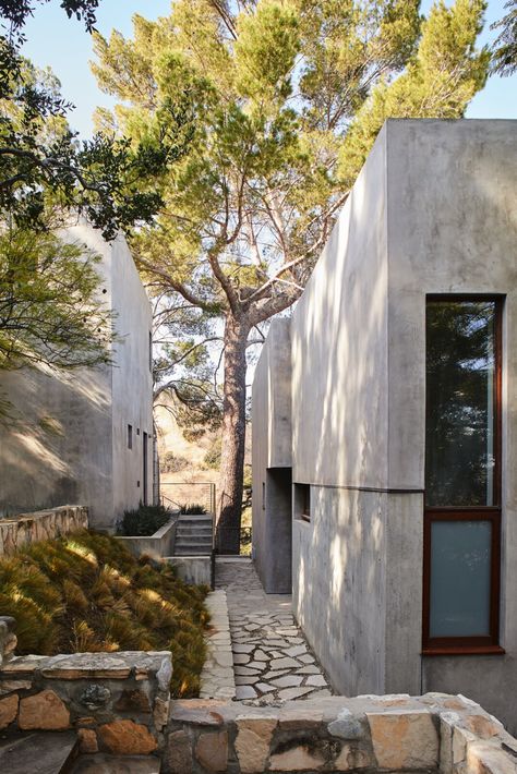 Photo 8 of 10 in An Oscar-Winning Director’s Striking Concrete-and-Glass Villa Offers a Tranquil Escape in L.A. - Dwell Concrete Homes Exterior, Exterior Plants, Kathryn Bigelow, Be Delusional, Stone Villa, Beverly Hills Houses, Fireplace Set, Concrete Fireplace, Los Angeles Real Estate