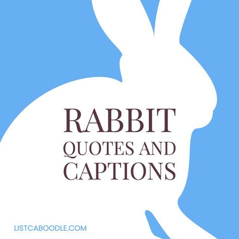 The best rabbit quotes and captions. Quotes About Rabbits, Rabbit Quotes Inspiration, Quotes About Bunnies, Rabbit Captions For Instagram, Rabbit Captions, Bunny Rabbit Quotes, Rabbit Quotes Funny, Great Short Quotes, Rabbit Quotes