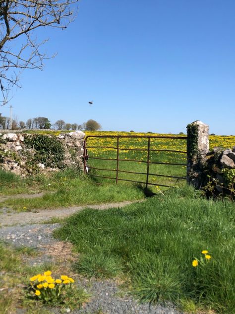 British Summer Time, Rural Ireland Aesthetic, Irish Countryside Aesthetic, Irish Summer Aesthetic, Open Field Aesthetic, British Summer Aesthetic, Irish Fields, Inis Oirr, British Countryside Aesthetic