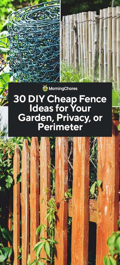 30 DIY Cheap Fence Ideas for Your Garden, Privacy, or Perimeter Diy Cheap Fence, Diy Fence Ideas Cheap, Cheap Fence Ideas, Cheap Garden Fencing, Cheap Privacy Fence, Diy Backyard Fence, Diy Privacy Fence, Fence Options, Diy Garden Fence