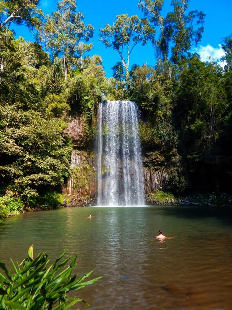 Scuba Diving Australia, Australia Landscape, Cairns Queensland, Australia Itinerary, Australia Backpacking, Cairns Australia, Australia Vacation, Airlie Beach, Travel Photography Tips