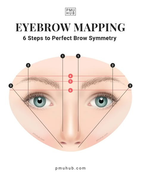 Where Should Eyebrows Start, Mapping Eyebrows Shape, Brow Care Beauty Tips, Map Out Eyebrows, How To Eyebrow Map, How To Outline Eyebrows, Diy Brow Mapping, Eyebrow Mapping Guide, How To Map Brows