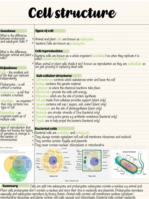 Anatomy Cells Notes, Cell Organisation Revision, Biology College Notes, Cell Notes Anatomy, Bio Cell Notes, Cell Biology Notes Gcse, Cell Anatomy Notes, Anatomy And Physiology Cells Notes, Cell Study Notes