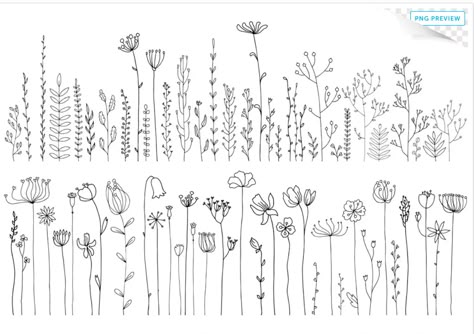 Hur Man Ritar Blommor, Image Drawing, Wildflower Drawing, Arte Doodle, Botanical Line Drawing, Floral Doodle, Drawn Flowers, Herbs And Flowers, Pola Sulam