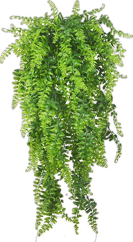 Plants Vines, Hanging Ferns, Fake Hanging Plants, Artificial Hanging Plants, Fake Plants Decor, Hanging Plant Wall, Boston Fern, Garden Vines, Ivy Plants