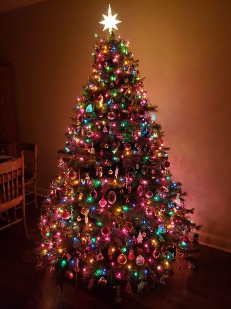 Colour Lights Christmas Tree, Bright Coloured Christmas Tree, Colourful Lights Christmas Tree, Rainbow Christmas Lights Tree, Christmas Colorful Lights, Christmas Colored Lights Tree, Christmas Tree Ideas Colourful, Colored Lights On Christmas Tree, Coloured Christmas Lights