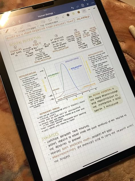 Pretty Digital Notes, Action Potential Notes, Goodnotes Ipad Notes, Pretty Ipad Notes, Goodnotes Inspo Notes, Notes In Ipad, Ipad Notes Aesthetic Goodnotes, Good Notes Aesthetic, Ipad Study Notes