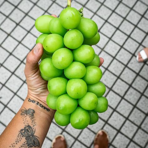 BETTINA CAMPOLUCCI BORDI on Instagram: “I am not into grapes but these Japanese green grapes are something else! They are huge for one, the skin soft and ok to eat, juicy and…” Lime Pickles, Green Grapes, Something Else, Grapes, Random Stuff, Tokyo, Chef, Yummy Food, Fruit