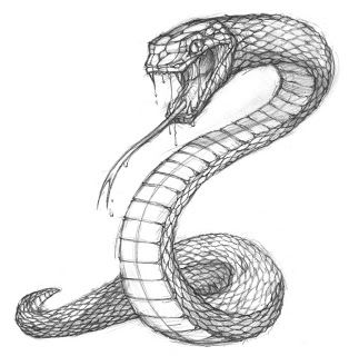 Snake sketch turn this into a tattoo by having the tail wrap around my arm Snake Sketch, Snake Drawing, Snake Art, 3d Tattoos, Tattoo Sketch, 3d Drawings, Snake Tattoo, Arte Inspo, A Snake