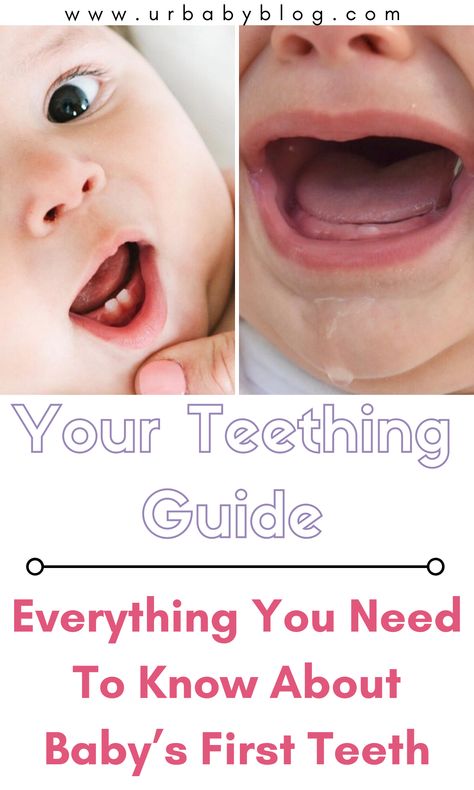 Teething Chart By Age, Teething Pain Relief Baby, Teething Stages Baby, Teething Timeline, Sore Gums Remedy, Teething Baby Remedies, Baby Teeth Chart, Teething Rash, Baby Teething Chart