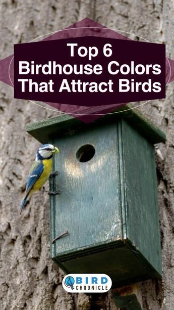 Birdhouse Fence Ideas, Natural Bird Houses, Bird House Patterns Free, A Frame Birdhouse, Diy Bird Table, Unique Birdhouses Diy, Painting Birdhouses Ideas Simple Diy, How To Attract Birds To Your Yard, Bird Boxes Ideas