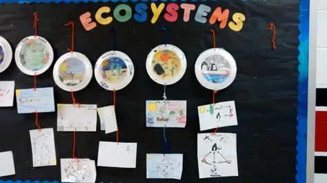 Ecosystem paper plate fish bowl mobile with food chain and food web! Assign each child a different ecosystem and display on a bulletin board! Ecosystem Bulletin Board Ideas, Ecosystem Bulletin Board, Food Chains Anchor Chart, Rainforest Food Chain, Food Chain Diagram, Food Webs Projects, Food Chain Game, Science Lapbooks, Science Food Chains