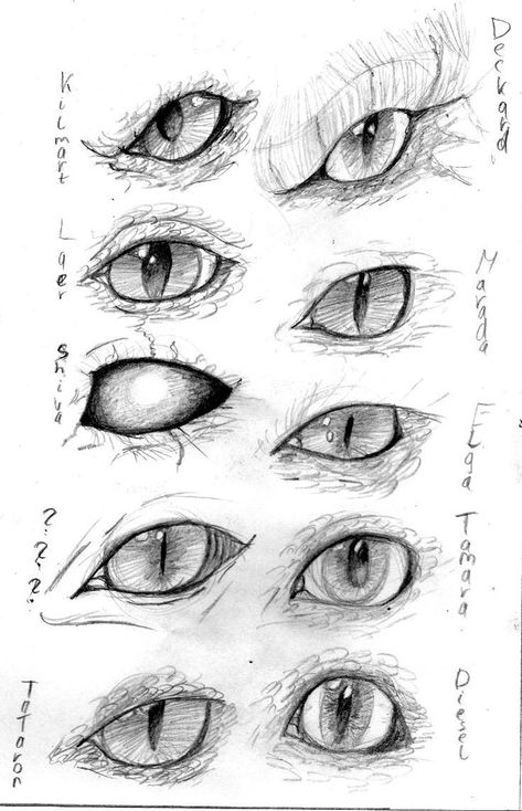 How To Draw Snake Eyes, Creepy Face Drawing Reference, Dragons Eye Drawing, Dragon Eyes Reference, How To Draw Demon Eyes, Dragon Eye Reference, Snake Eye Drawing Sketch, How To Draw A Dragon Eye, Monster Eyes Reference