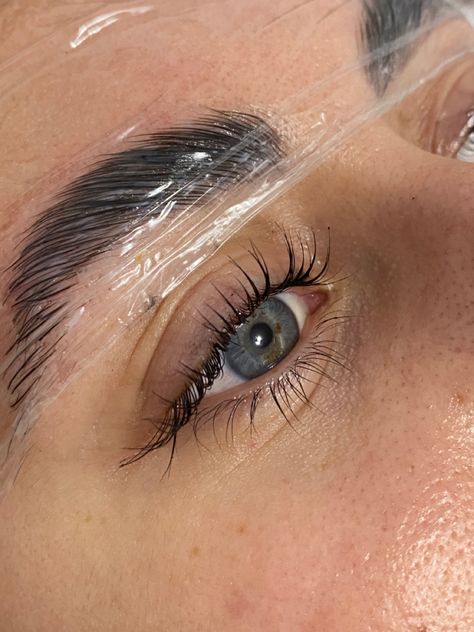 Eyelash Extensions Care, Eyebrow Lift, Brow Studio, Esthetician Marketing, Henna Brows, Eyelash Extentions, Eyelash Lift, Permanent Makeup Eyebrows, Brow Artist