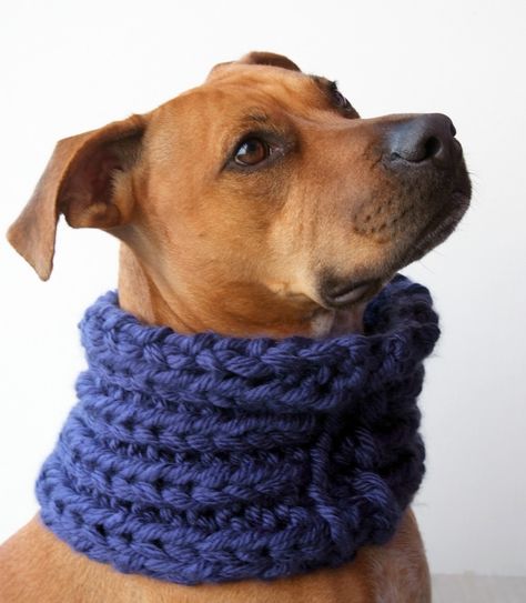 melis lauren: infinity scarves and plaid dresses... Handmade Stocking Stuffers, Dog Infinity Scarf, Dog Bandana Diy, Dog Neck Warmer, Bandanas Diy, Pet Crochet, Crochet Pets, Dog Bandana Pattern, Plaid Dresses